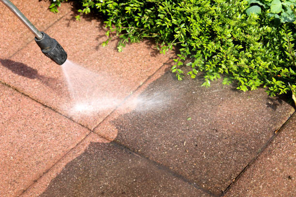 Best Pressure Washing Near Me  in Mccom, OH